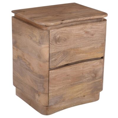 Akhila 2 Drawer Accent Table in Natural