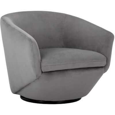 Accent Chairs Burlington - Modern Living 105299 TREVISO ARMCHAIR ANTONIO CHARCOAL