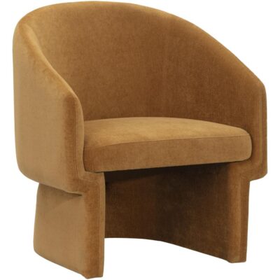 Accent Chairs Burlington - Modern Living 105965 LAURYN ARMCHAIR DANNY AMBER