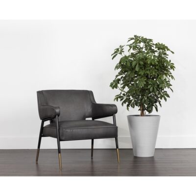 Derome Lounge Chair - Bravo Portabella 12 Derome Lounge Chair - Bravo Portabella 107316 107316 DEROME LOUNGE CHAIR BRAVO PORTABELLA 5