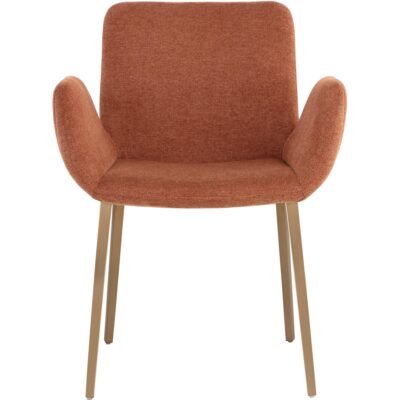 Lucano Dining Armchair - Belfast Rust 108731 108731 LUCANO DINING ARMCHAIR BELFAST RUST 21