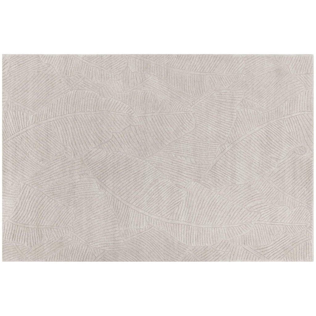 Calathea Hand-Tufted Rug - Oatmeal - 6' X 9'