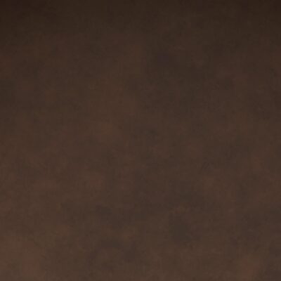 Celest Dining/Lounge Chair, Set of 2 in Brown and Dark Walnut 13 Celest Dining/Lounge Chair, Set of 2 in Brown and Dark Walnut 202-911BRN 202 911BRN 5