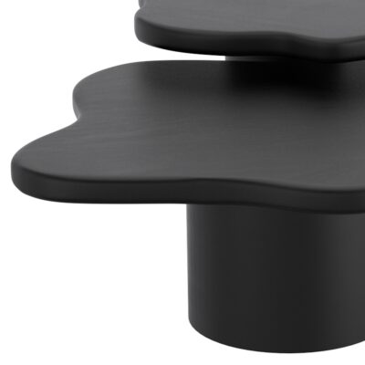 Mayal Large Coffee Table in Black 301-149LG_BLK 301 149LG BLK 3