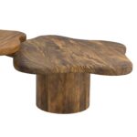 Mayal Large Coffee Table in Walnut 301-149LG_WAL 301 149LG WAL 4