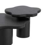 Mayal Small Coffee Table in Black 301-149SM_BLK 301 149SM BLK 2