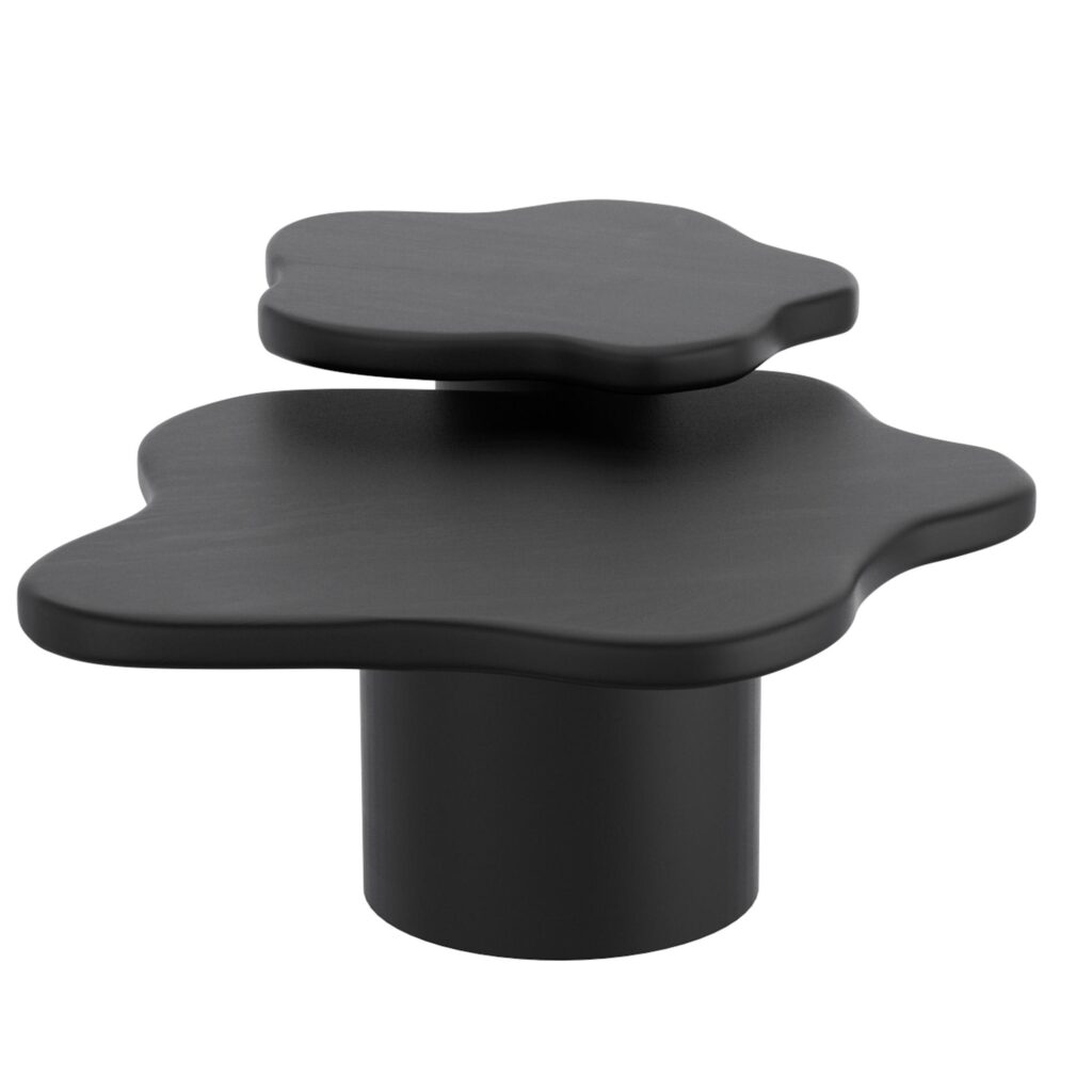 Mayal 2pc Coffee Table Set in Black - Image 3