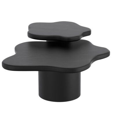 Mayal 2pc Coffee Table Set in Black 303-149BLK 303 149BLK 2