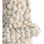 White & Black Shell Obelisk 384165 384165 B