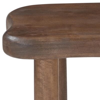 Zaloa Organic Accent Table in Dark Walnut 501-272DWT 501 272DWT 4