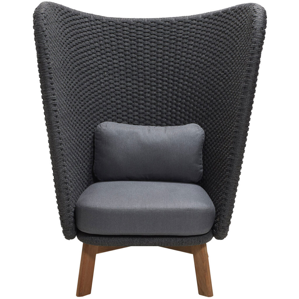 Peacock Wing Highback Chair W/Teak Legs - Image 3