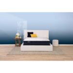Serta Perfect Sleeper Pride Plush Pillow Top Twin XL Mattress 850005576-1020 6298 2390 4351 SE23 NL PerfectSleeper Innerspring Promo Pride PLPT Room Front 230120 0919