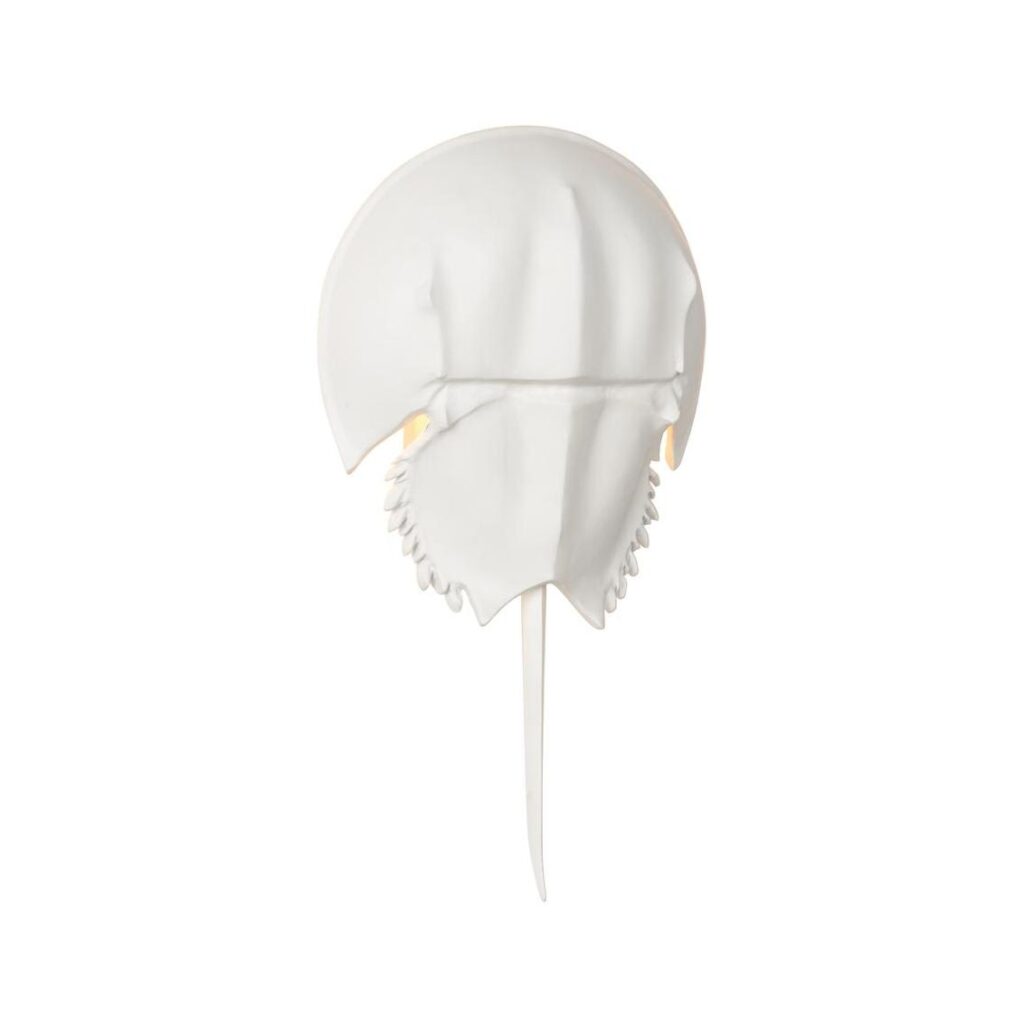 Horseshoe Crab Sconce - White