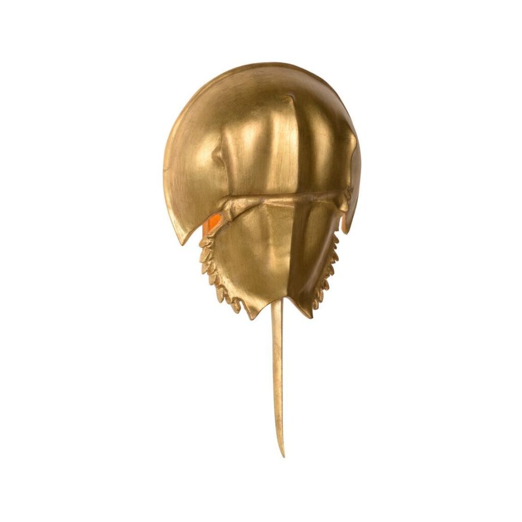Horseshoe Crab Sconce - Gold