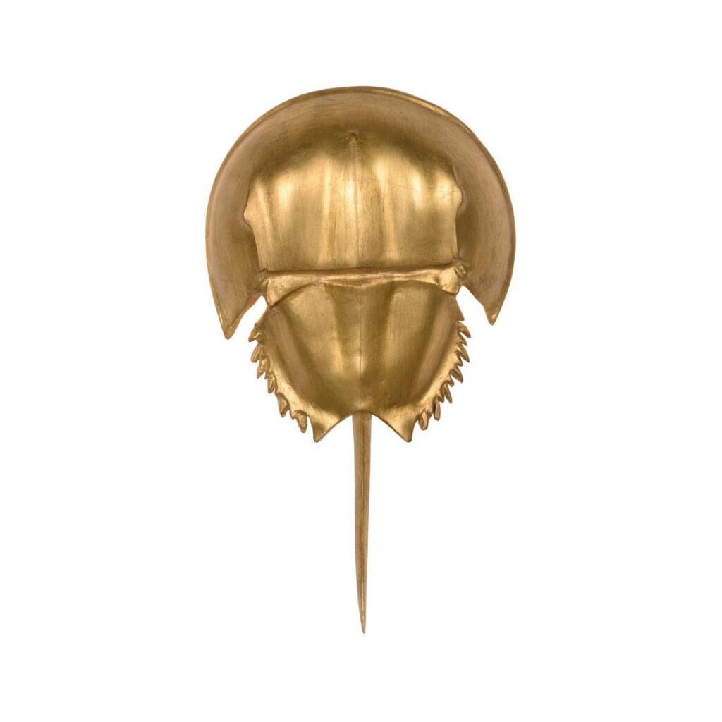 Horseshoe Crab Sconce - Gold - Image 2