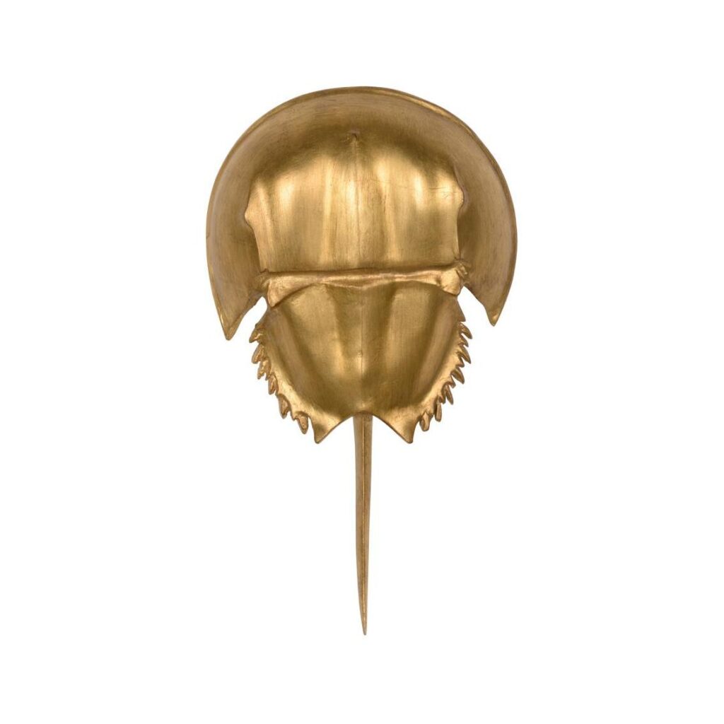 Horseshoe Crab Sconce - Gold - Image 3