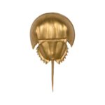 Horseshoe Crab Sconce - Gold 70217 70217 C