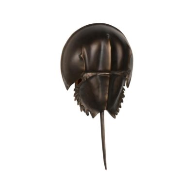 Horseshoe Crab Sconce-Antique Bronze