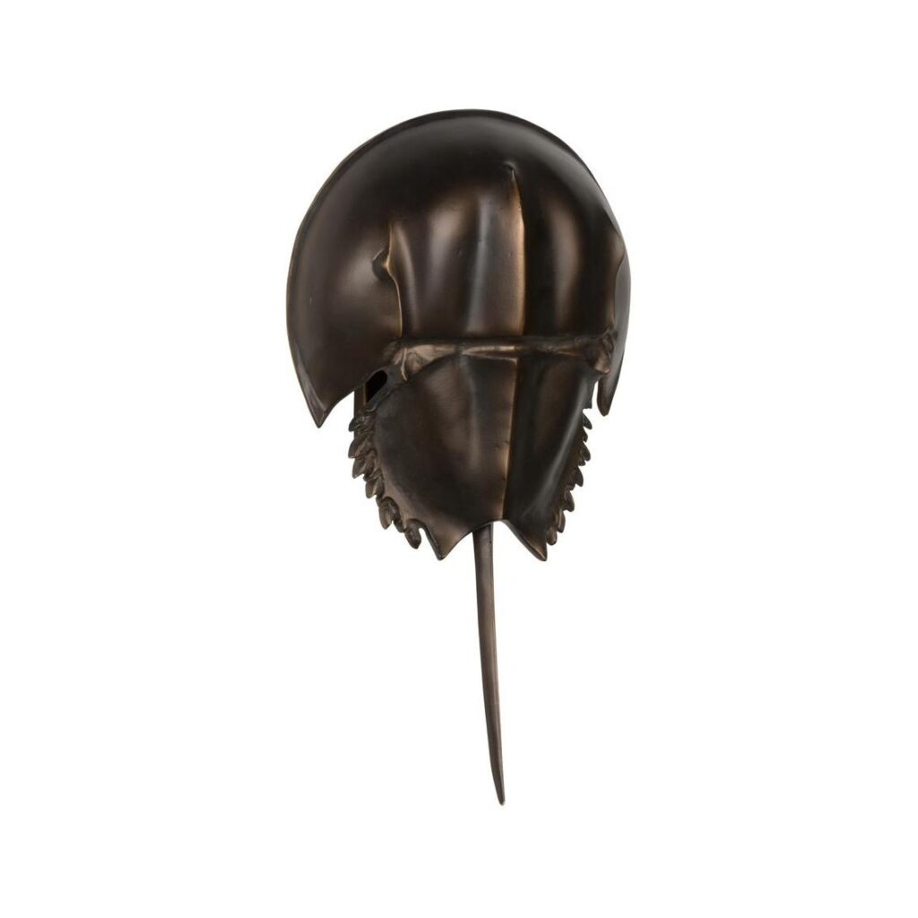 Horseshoe Crab Sconce-Antique Bronze - Image 2