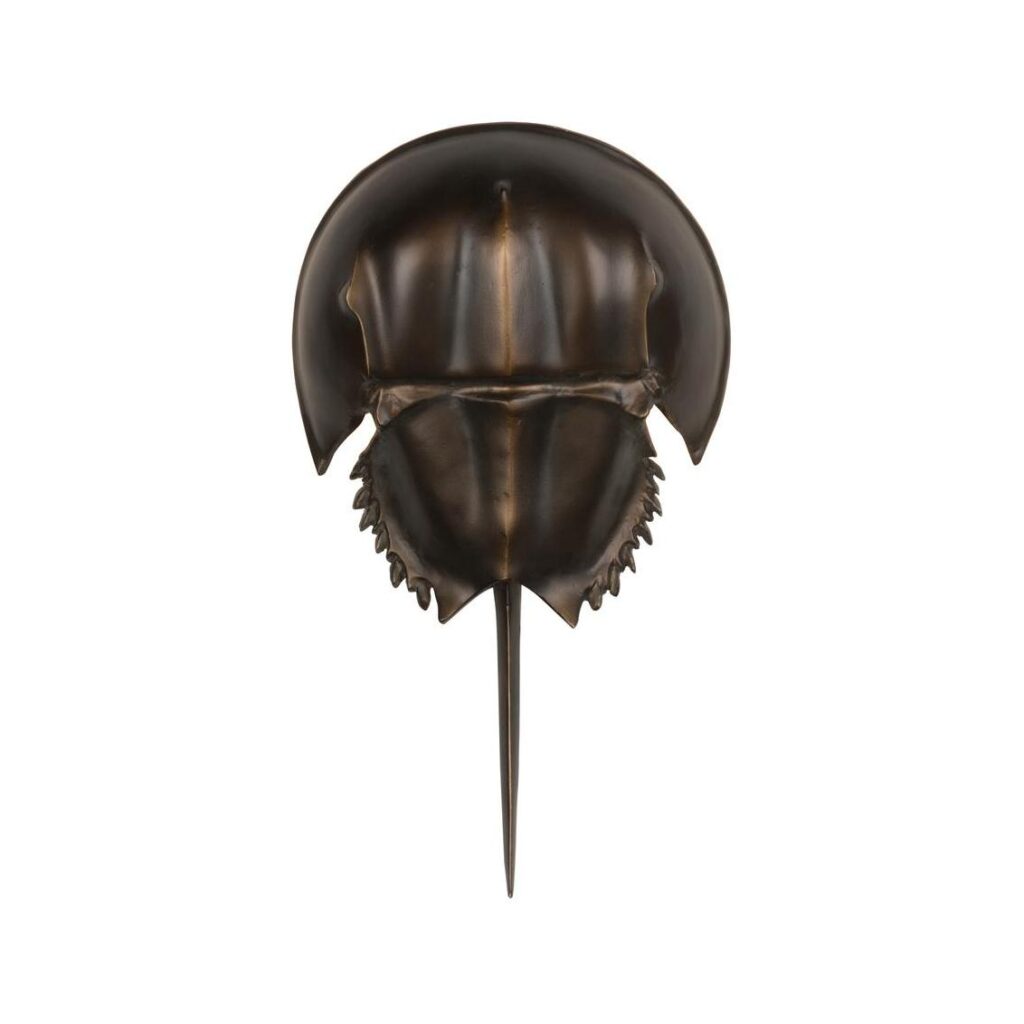 Horseshoe Crab Sconce-Antique Bronze - Image 3
