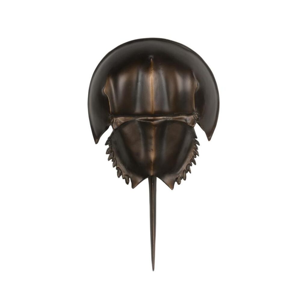 Horseshoe Crab Sconce-Antique Bronze - Image 4