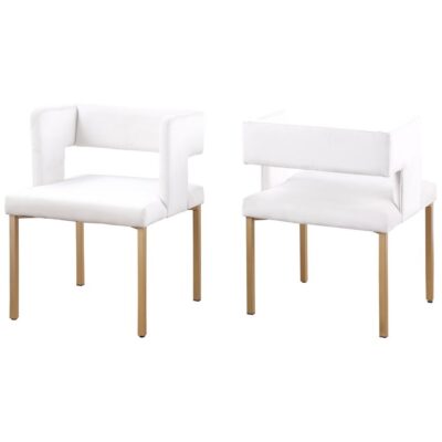 Anthony Dining Chair - Set of 2 - Beige