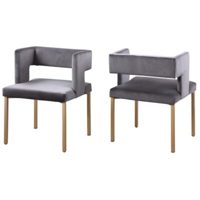 Anthony Dining Chair - Set of 2 - Grey