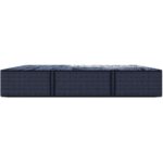 Serta Perfect Comfort Phoenix Luxury Firm King Mattress 850003361-1060 8011 2894 5205 JPEG Large 2424 NL PerfectComfortX Phoenix FM Silo Side