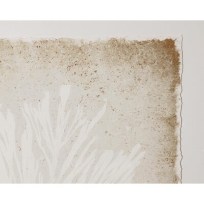 Aquatic Flora I - 40" X 40" - Medium Brown Frame 9 Aquatic Flora I - 40" X 40" - Medium Brown Frame A0444 A0444 4