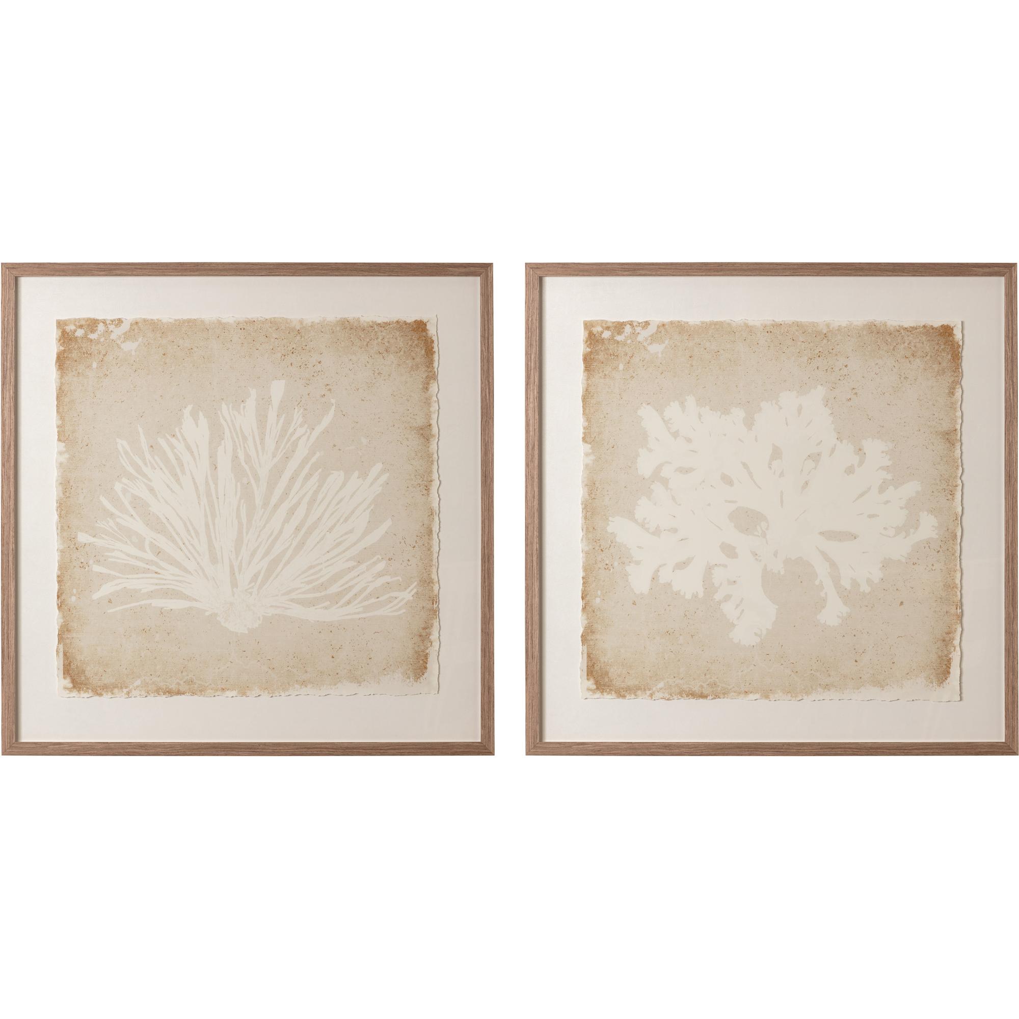 Aquatic Flora Ii - 40" X 40" - Medium Brown Frame 2 Aquatic Flora Ii - 40" X 40" - Medium Brown Frame - Image 2