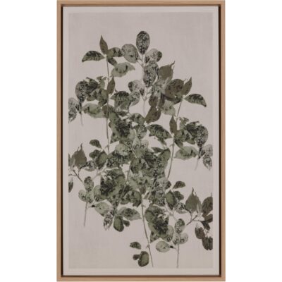 Botanical Study I - 18.5" X 31" - Natural Floater Frame
