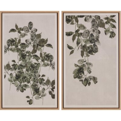Botanical Study I - 18.5" X 31" - Natural Floater Frame A0452 A0452 2