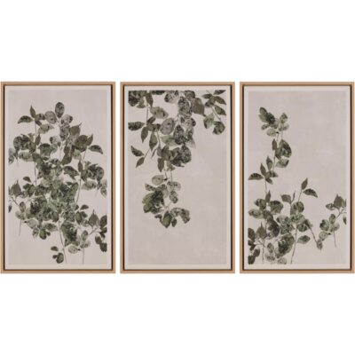 Botanical Study I - 18.5" X 31" - Natural Floater Frame A0452 A0452 4