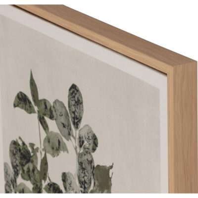 Botanical Study I - 18.5" X 31" - Natural Floater Frame A0452 A0452 5