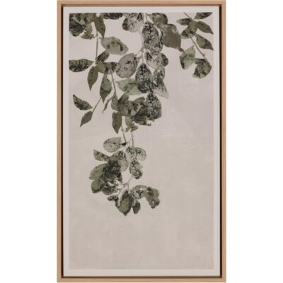 Botanical Study Ii - 18.5" X 31" - Natural Floater Frame
