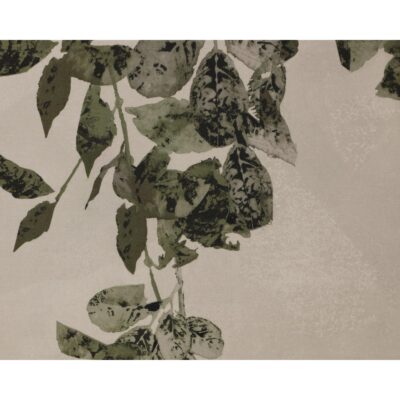 Botanical Study Ii - 18.5" X 31" - Natural Floater Frame A0453 A0453 6