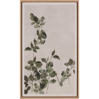 Botanical Study Iii - 18.5" X 31" - Natural Floater Frame