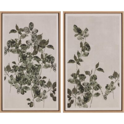 Botanical Study Iii - 18.5" X 31" - Natural Floater Frame A0454 A0454 2