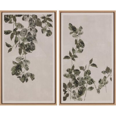 Botanical Study Iii - 18.5" X 31" - Natural Floater Frame A0454 A0454 3