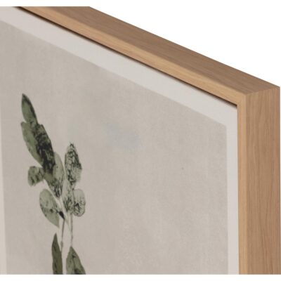 Botanical Study Iii - 18.5" X 31" - Natural Floater Frame A0454 A0454 5