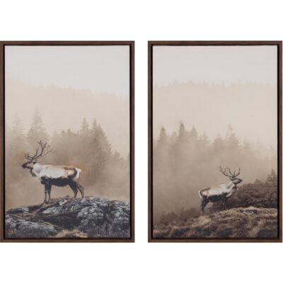 Into The Wild I - 20" X 30" - Brown Floater Frame A0457 A0457 2