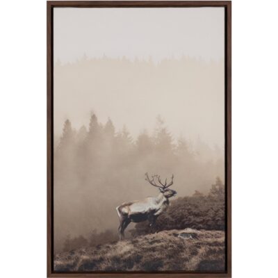 Into The Wild Ii - 20" X 30" - Brown Floater Frame