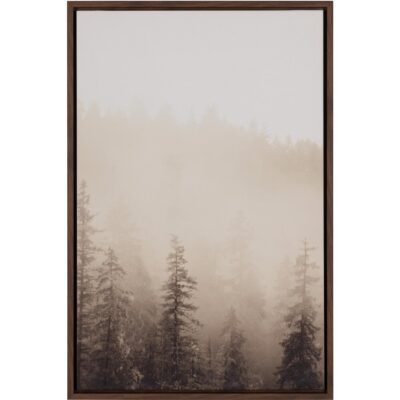 Mistwood I - 20" X 30" - Brown Floater Frame