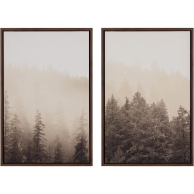 Mistwood I - 20" X 30" - Brown Floater Frame A0459 A0459 2