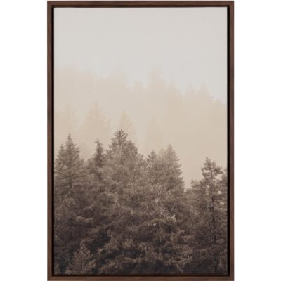 Mistwood Ii - 20" X 30" - Brown Floater Frame