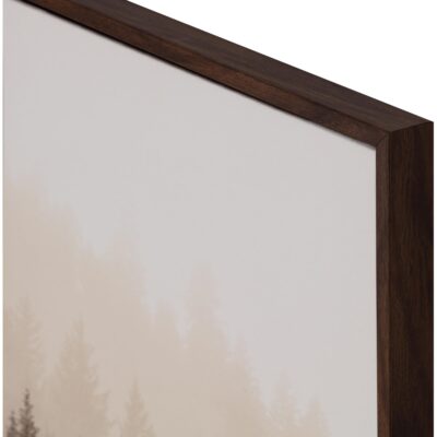 Mistwood Ii - 20" X 30" - Brown Floater Frame A0460 A0460 4