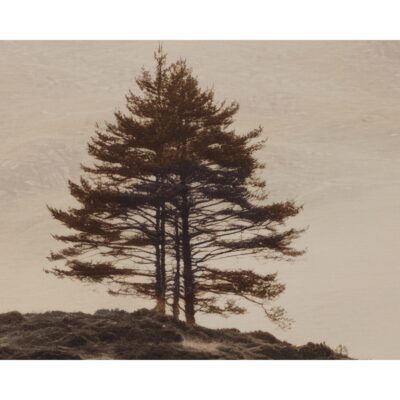 Together Alone Ii - 20" X 30" - Brown Floater Frame 11 Together Alone Ii - 20" X 30" - Brown Floater Frame A0462 A0462 5