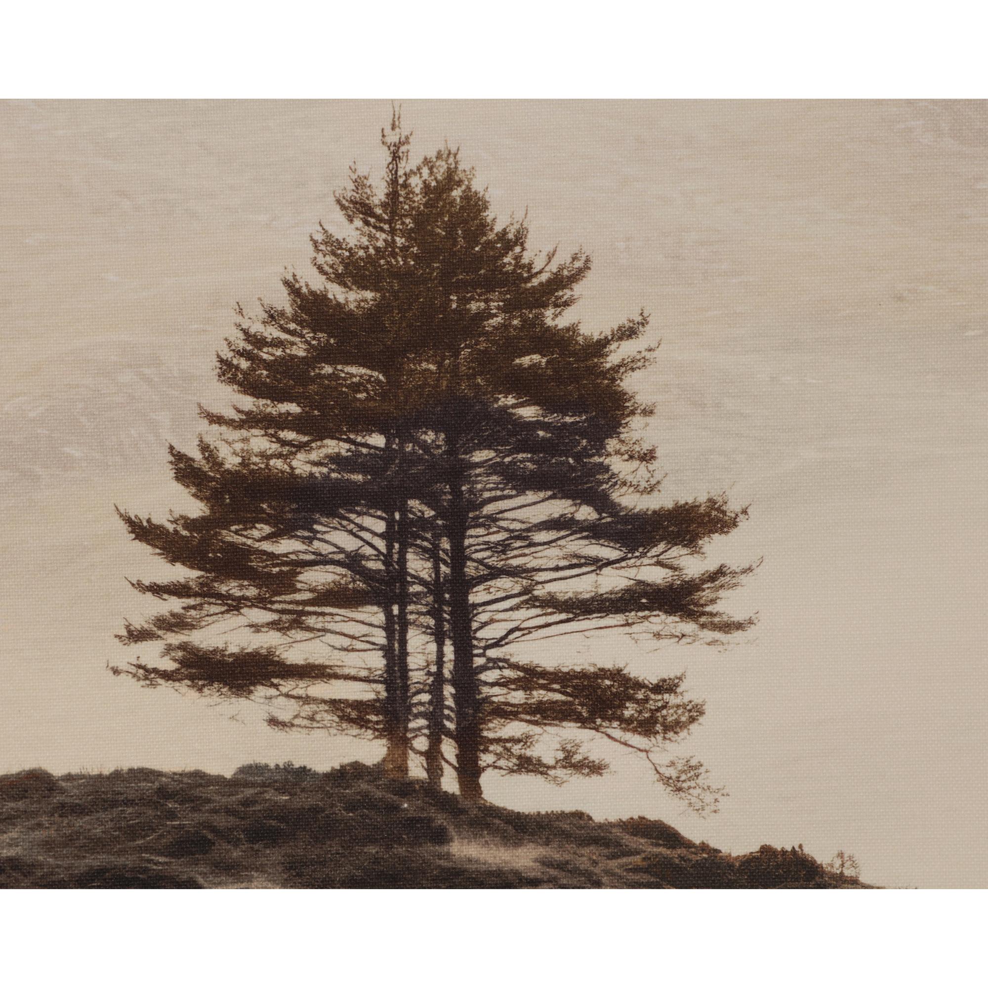 Together Alone Ii - 20" X 30" - Brown Floater Frame 5 Together Alone Ii - 20" X 30" - Brown Floater Frame - Image 5