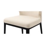 Delaney Dining Chair Warm Beige-Set of Two EJ-1018-18 EJ 1018 18 Delaney closeup04 shadsilo