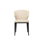 Delaney Dining Chair Warm Beige-Set of Two EJ-1018-18 EJ 1018 18 Delaney front shadsilo